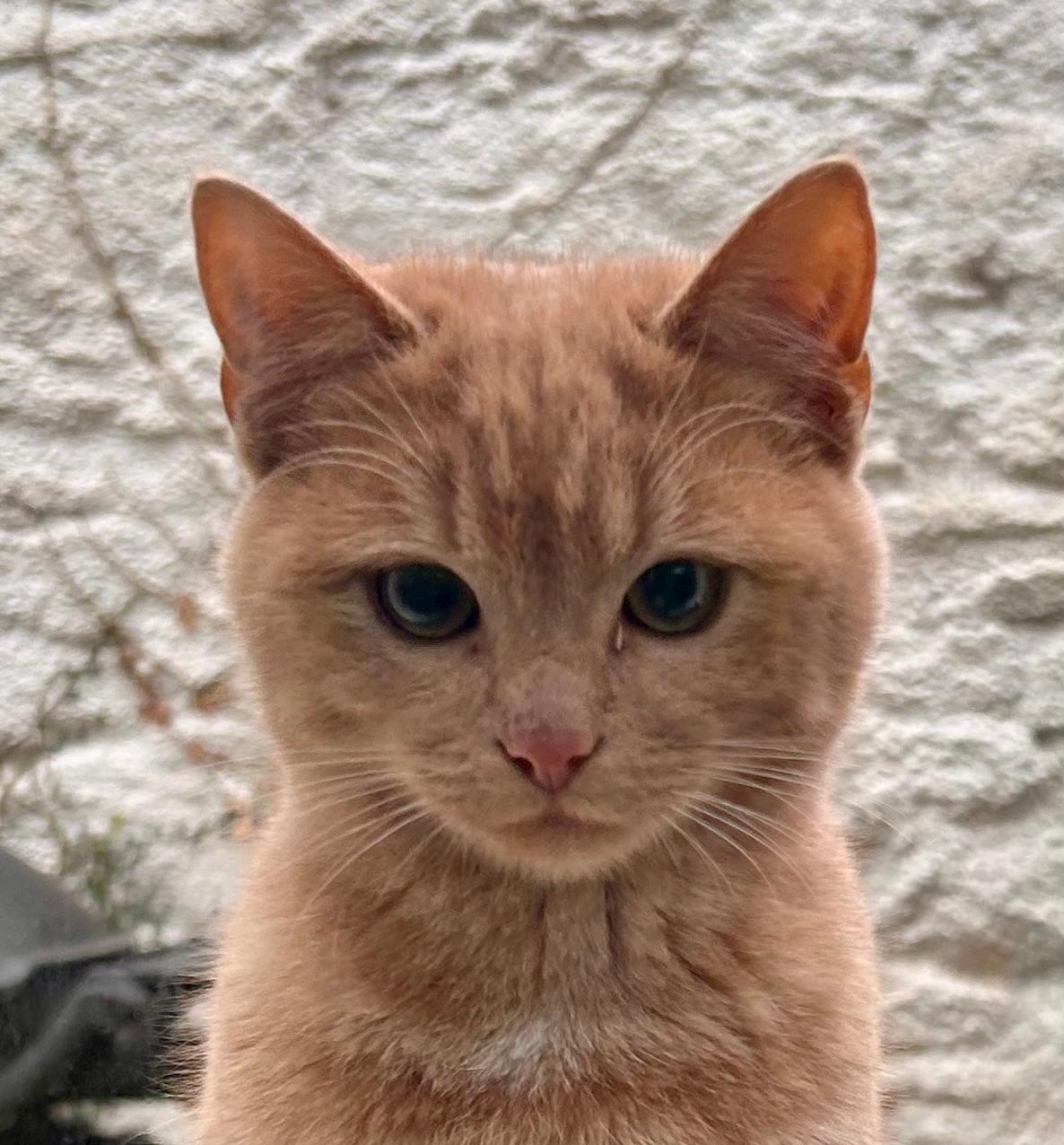 Sid